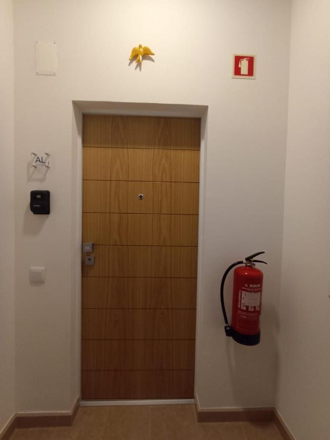 Family Apartament II Coimbra Zewnętrze zdjęcie